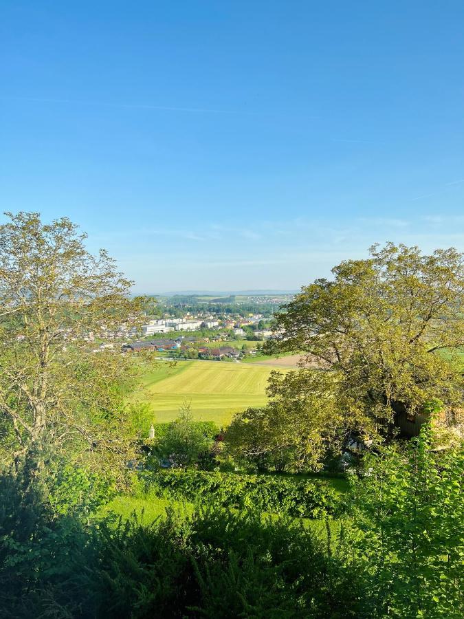 Gruenberg Apartments Gmunden Zewnętrze zdjęcie