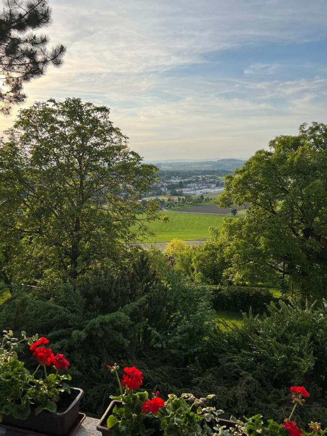 Gruenberg Apartments Gmunden Zewnętrze zdjęcie