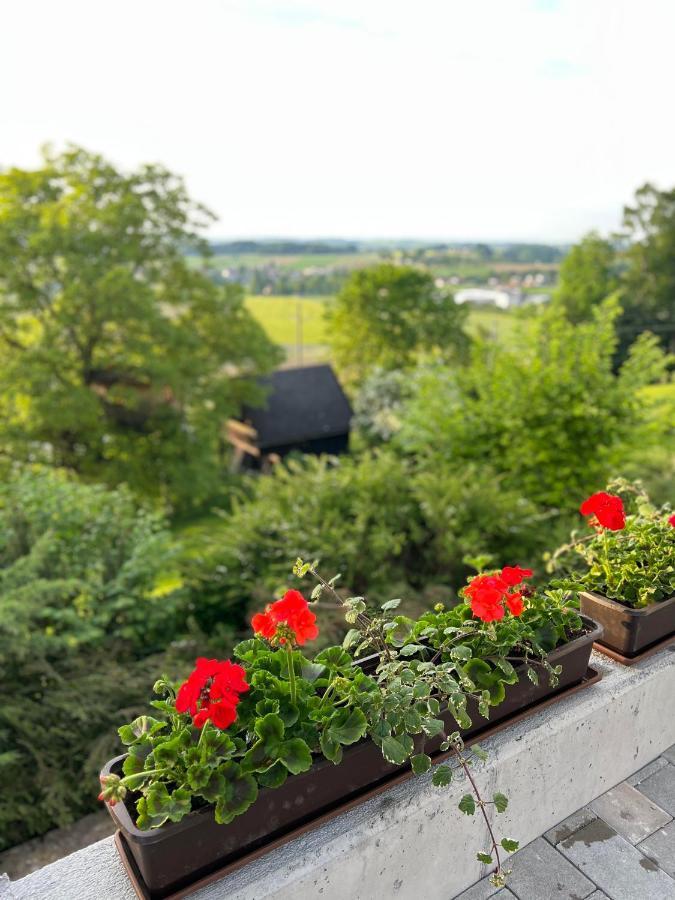 Gruenberg Apartments Gmunden Zewnętrze zdjęcie