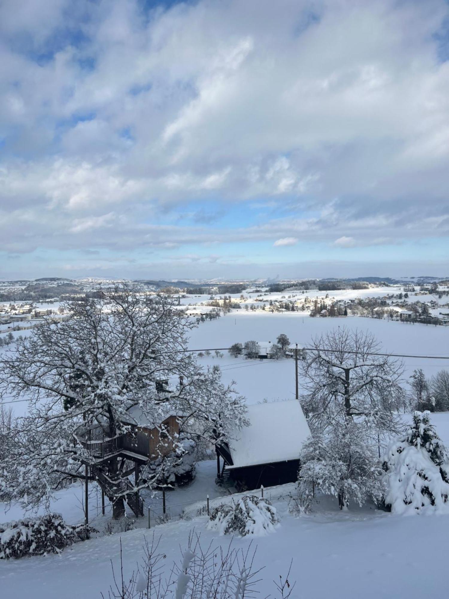 Gruenberg Apartments Gmunden Zewnętrze zdjęcie