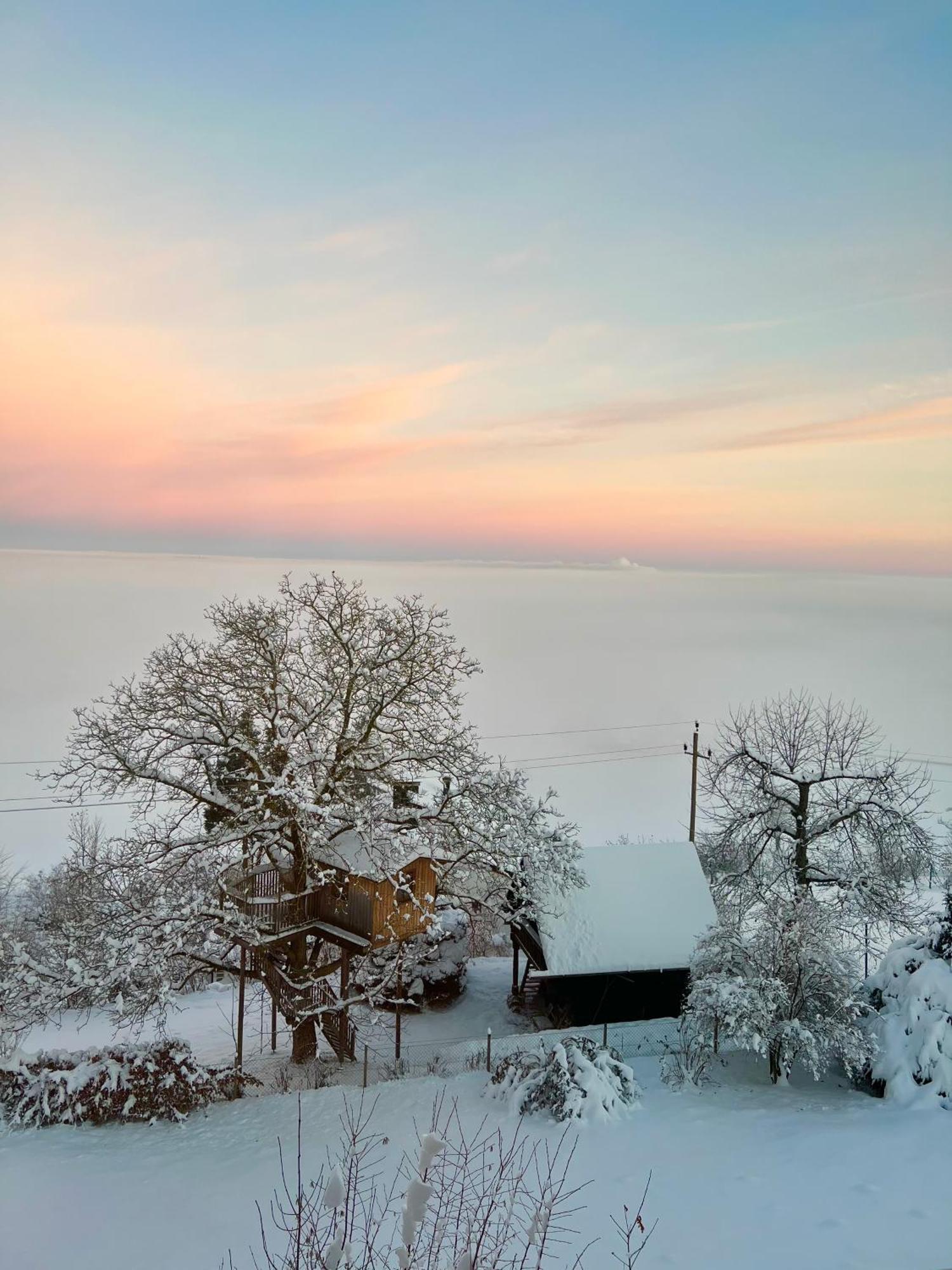 Gruenberg Apartments Gmunden Zewnętrze zdjęcie